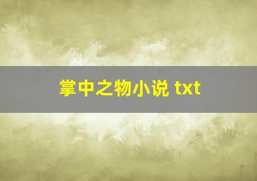 掌中之物小说 txt